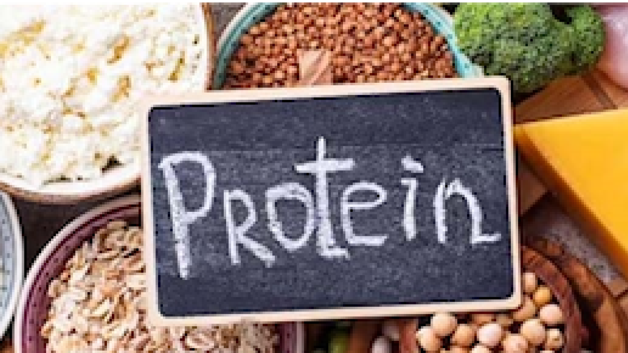 small chalk board with the word "protein" written on it sitting on top of various sources of protein