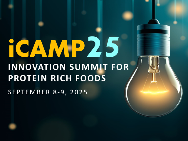 image of hanging lightbulb with event information overlaid - icamp25, innovation summit for protein rich foods, september 8-9, 2025