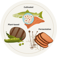 Hybrid meat products